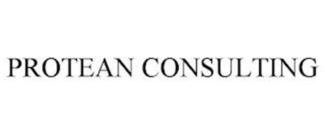 PROTEAN CONSULTING