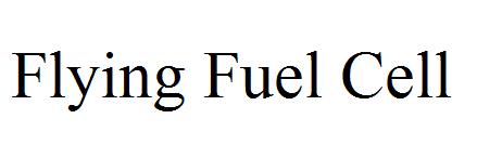 Flying Fuel Cell