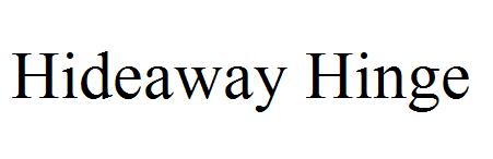 Hideaway Hinge