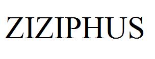 ZIZIPHUS